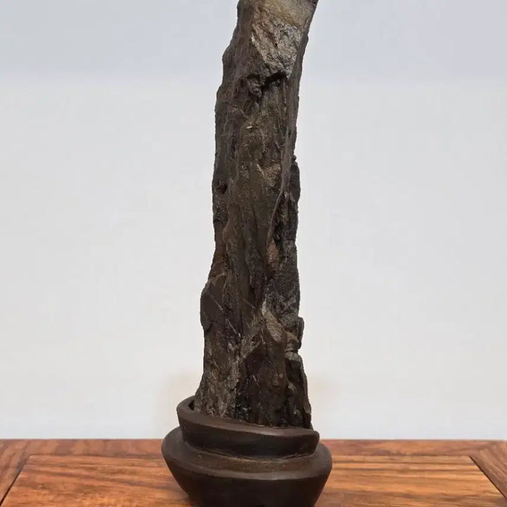 [BUNJANG] Deoksan Choco Stone / 260424 촉이 살아있는 덕산 초코석 수석 팝니다