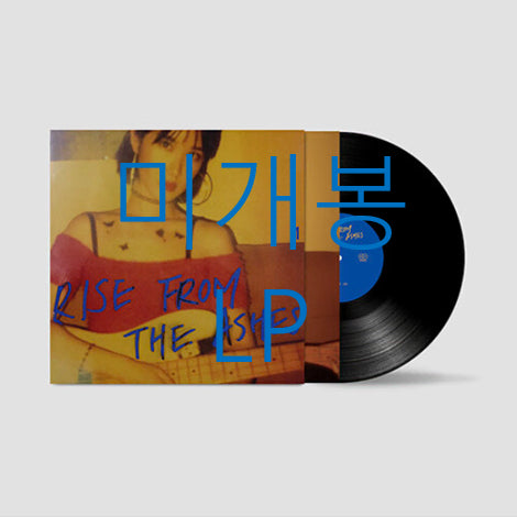 [BUNJANG] [미개봉] 이루리 - Rise From The Ashes (LP) / [미개봉] 이루리 - Rise From The Ashes (LP)