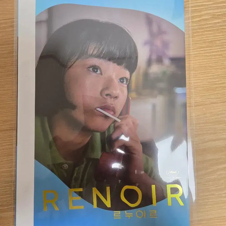 [BUNJANG] Renoir Original Ticket Book Poster / 르누아르 오리지널 티켓북 포스터