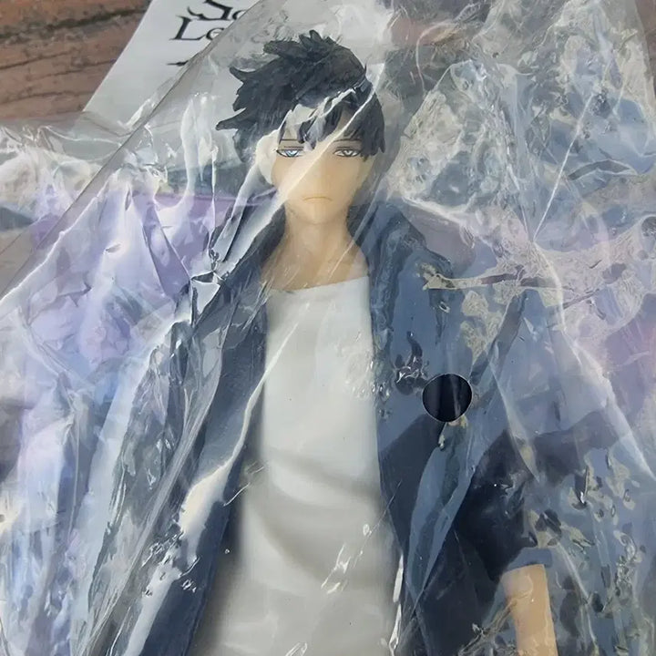 [SOLD OUT] 나혼자 레벨업 성진우 피규어 ARISE