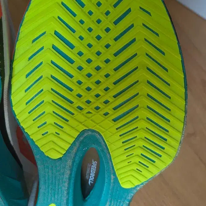 [SOLD OUT] Saucony 엔돌핀 프로4  285사이즈