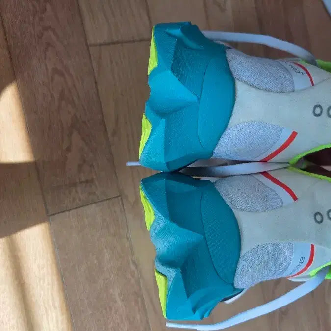 [SOLD OUT] Saucony 엔돌핀 프로4  285사이즈