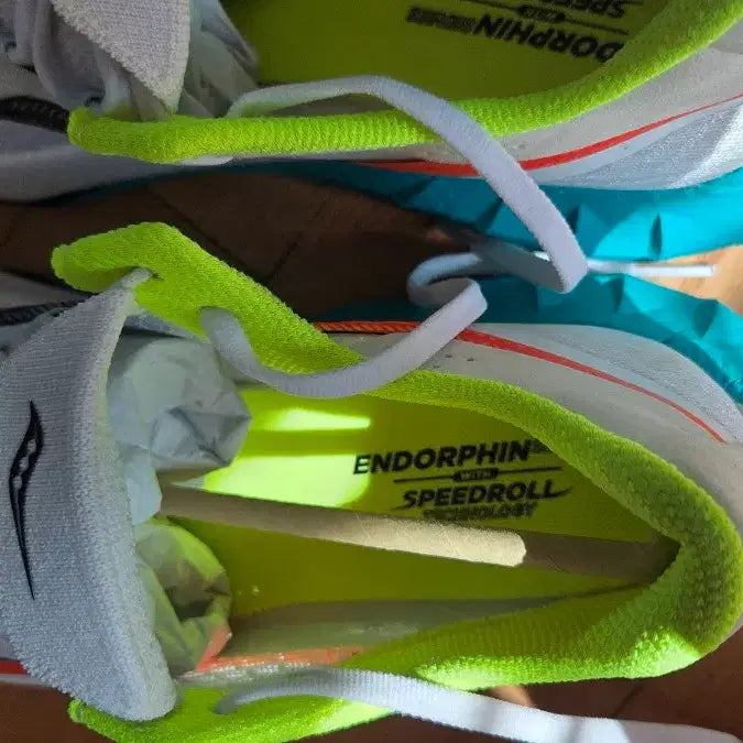 [SOLD OUT] Saucony 엔돌핀 프로4  285사이즈