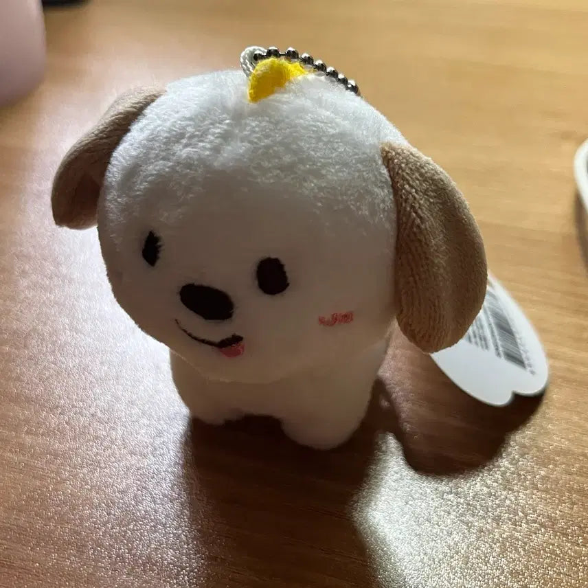 [BUNJANG] Zerobaseone 1st Generation Mungryong 10cm Doll / 1기 멍룡이 10cm