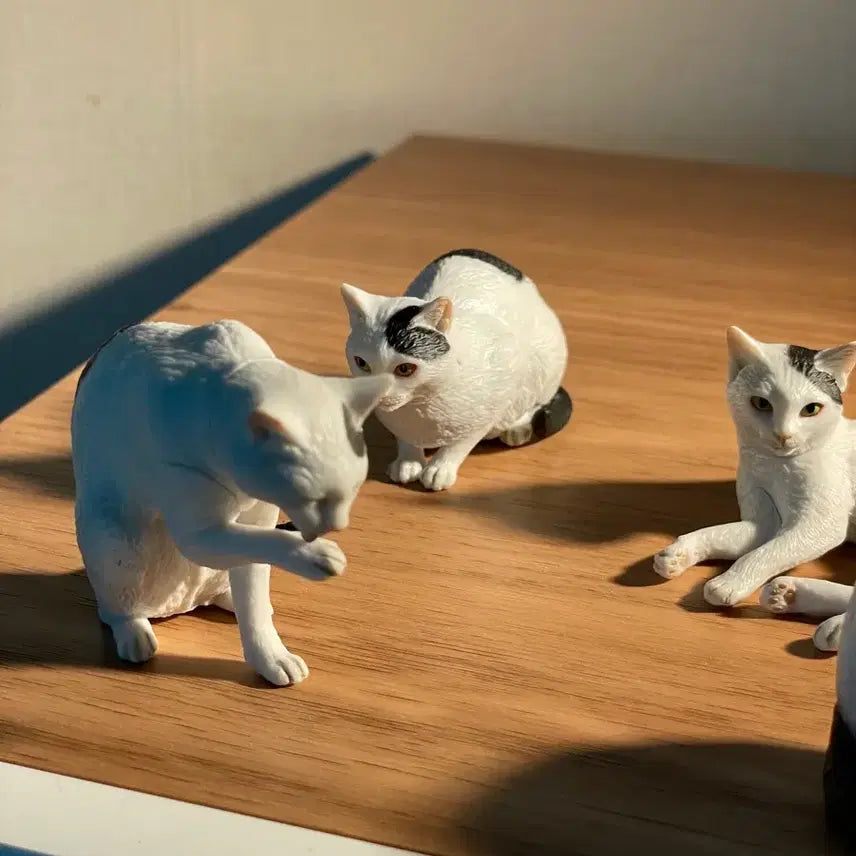 [BUNJANG] Morigucci Cat Figure / 모리구치 고양이