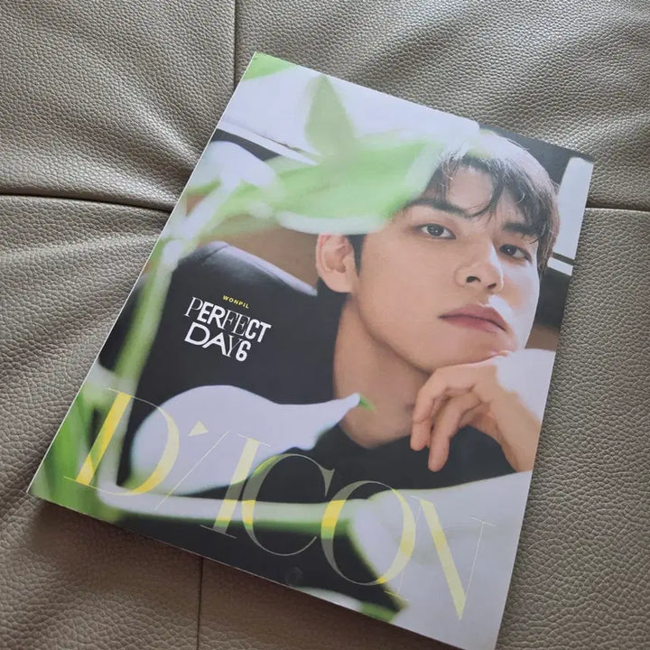 [BUNJANG] DAY6 Wonpil Album Bundle Set / 데이식스 원필 a,b타입 일괄