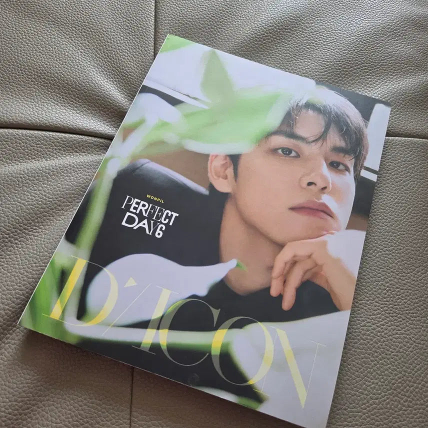 [BUNJANG] DAY6 Wonpil Album Bundle Set / 데이식스 원필 a,b타입 일괄