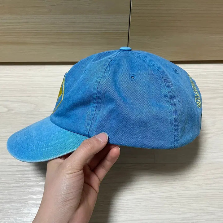 [BUNJANG] Wellbeing Express Wbe Flower Cap Sky Blue Hat / 웰빙익스프레스 Flower Wbe Cap 모자 OS
