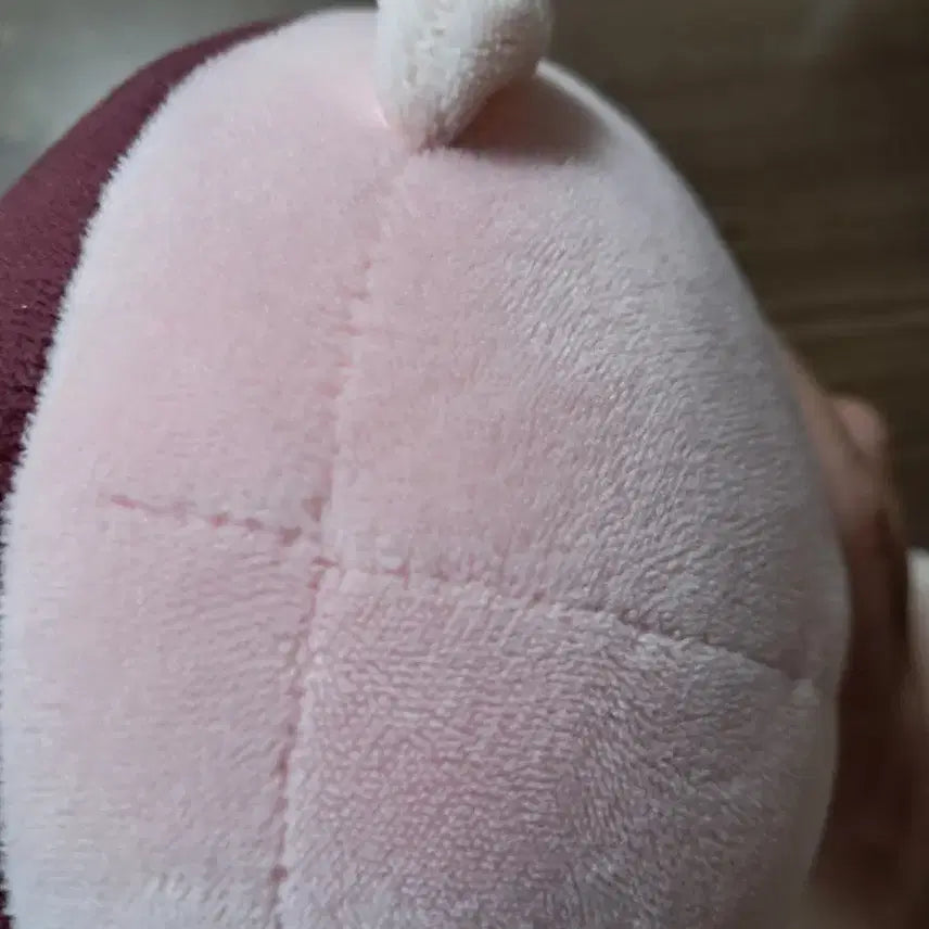 [BUNJANG] Doruguri Doll / 도구리 인형 팝니다.