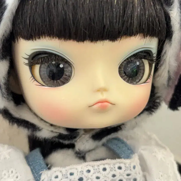 [BUNJANG] Daloni Dalddol Pullip Doll / 다로니 달돌 푸리프