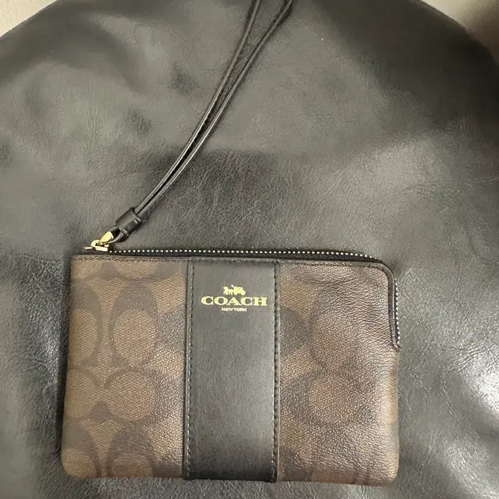 [BUNJANG] Coach Mini Pouch Clutch Bag / 정품 코치 미니 파우치 클러치 가방 가로15세로10
