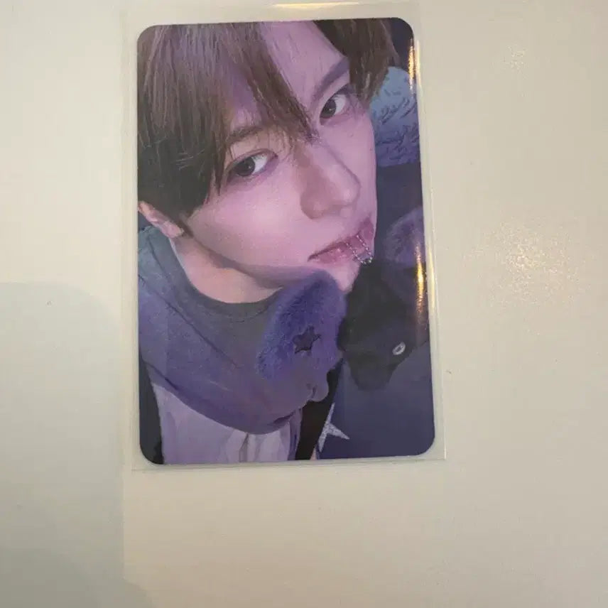 [SOLD OUT] 엔시티위시 오드투러브 시온 위츄 안테로스 포카