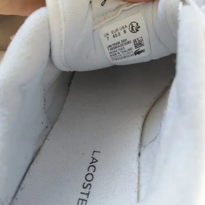 [BUNJANG] Lacoste Sneakers US8 / 라코스테신발usa8 uk7