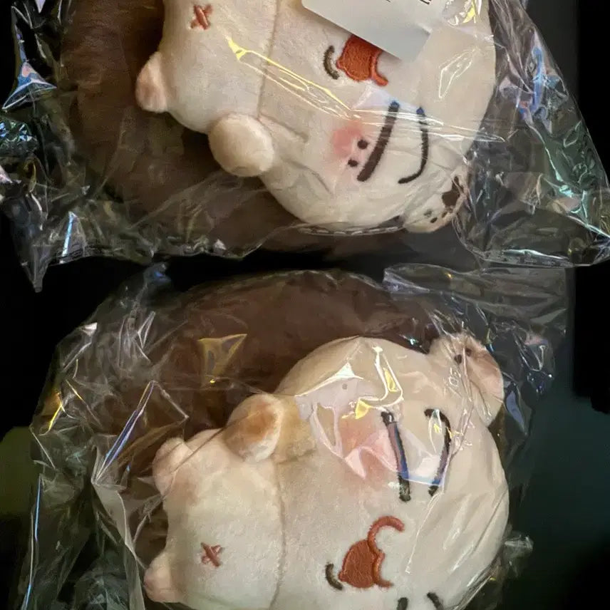 [BUNJANG] ENHYPEN Jay Doll / 쫑몽치 양도 엔하이픈 제이 인형 박종성 종성 원가양도