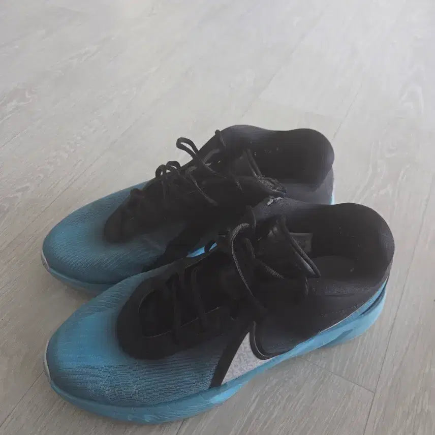 [BUNJANG] Nike Zoom Freak 6 Sneakers / 나이키 줌 프릭6 275