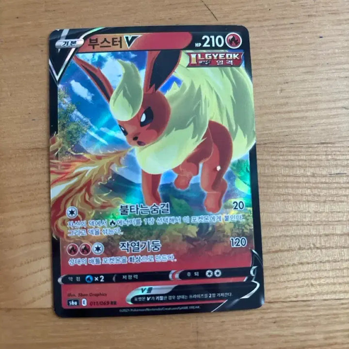 [BUNJANG] Pokemon Eevee Collection Bundle Set / 이브이 콜렉션 일괄 판매합니다