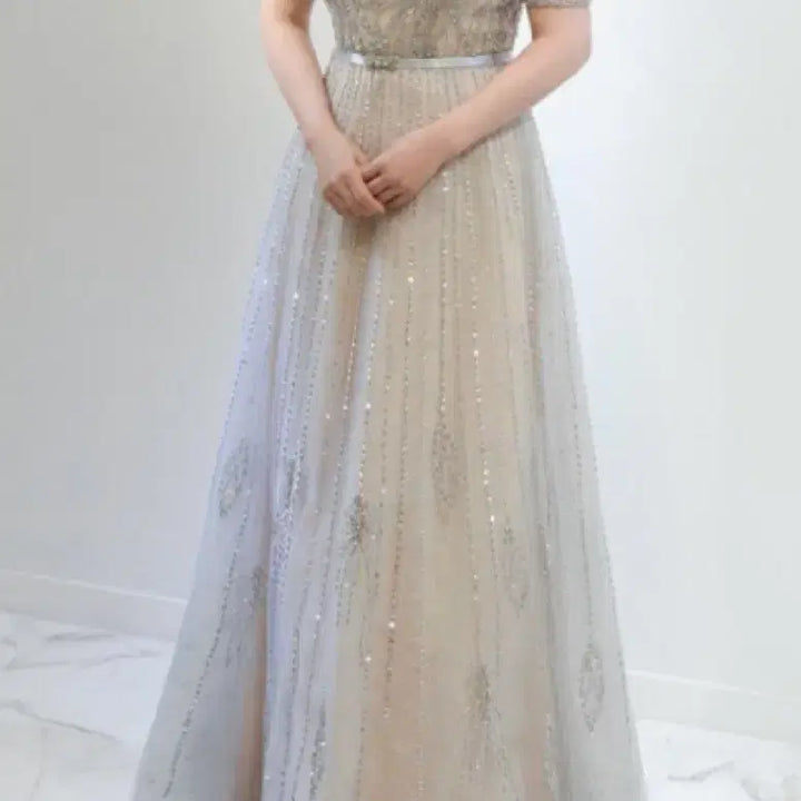 [BUNJANG] Elegant Silhouette Party Dress / 결혼식 하객룩 파티 드레스