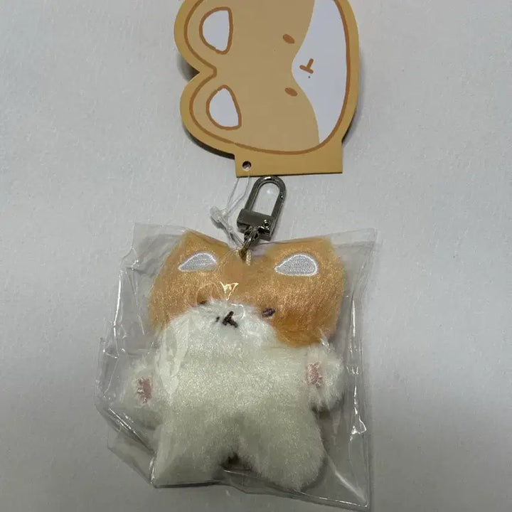 [BUNJANG] Baekhyun Terraegi Do Not Lose Keyring / (미개봉) 백현 터래기 제발 잃어버리지마 키링
