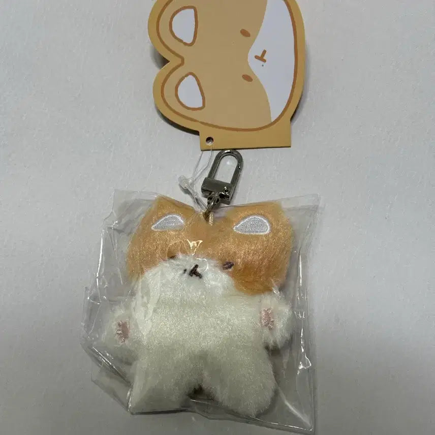 [BUNJANG] Baekhyun Terraegi Do Not Lose Keyring / (미개봉) 백현 터래기 제발 잃어버리지마 키링