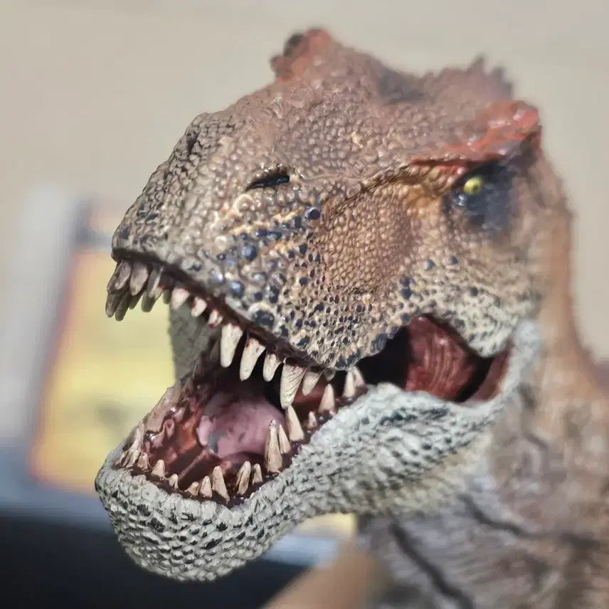 [BUNJANG] Rebor King T-Rex (Defective) / REBOR 킹티렉스 (불량품)