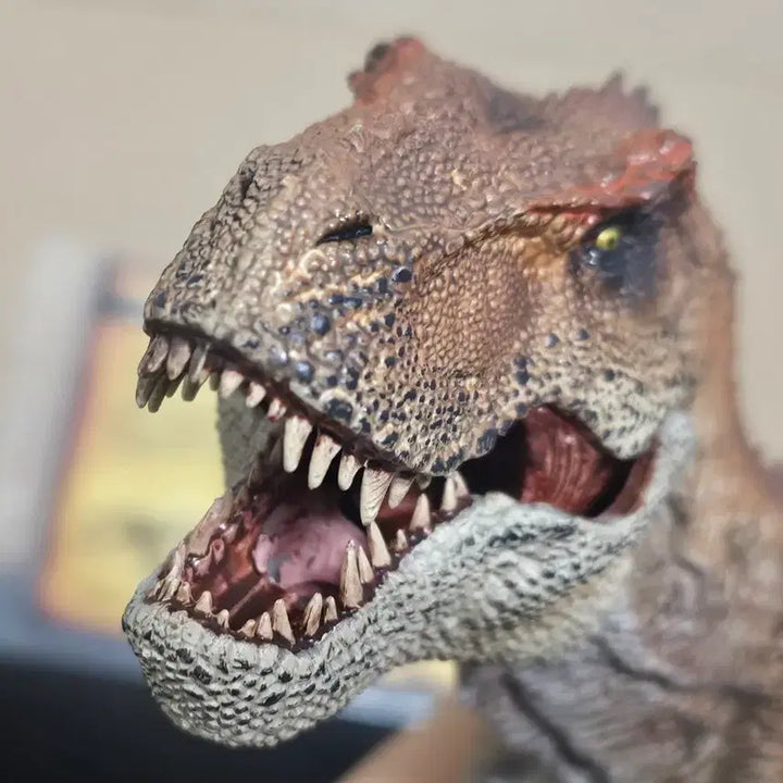 [BUNJANG] Rebor King T-Rex (Defective) / REBOR 킹티렉스 (불량품)