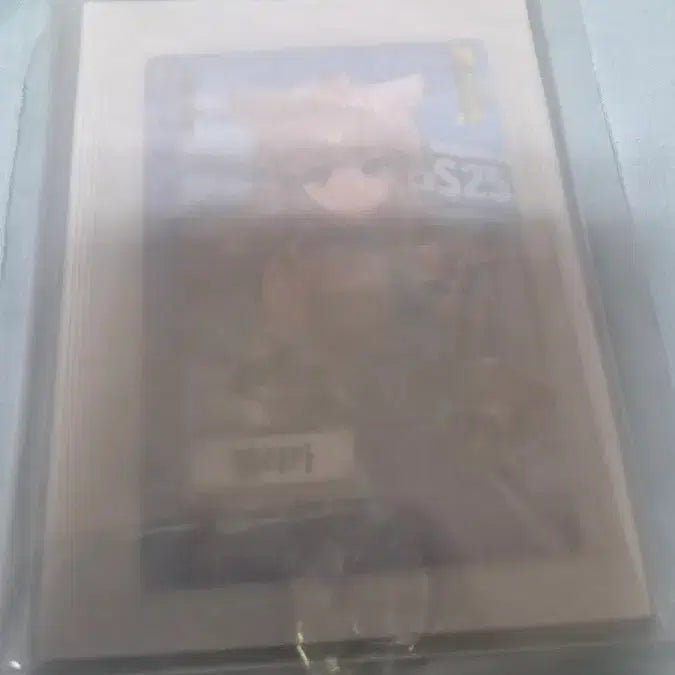 [SOLD OUT] Gs편의점: 엔드필드 펠리카 포토카드