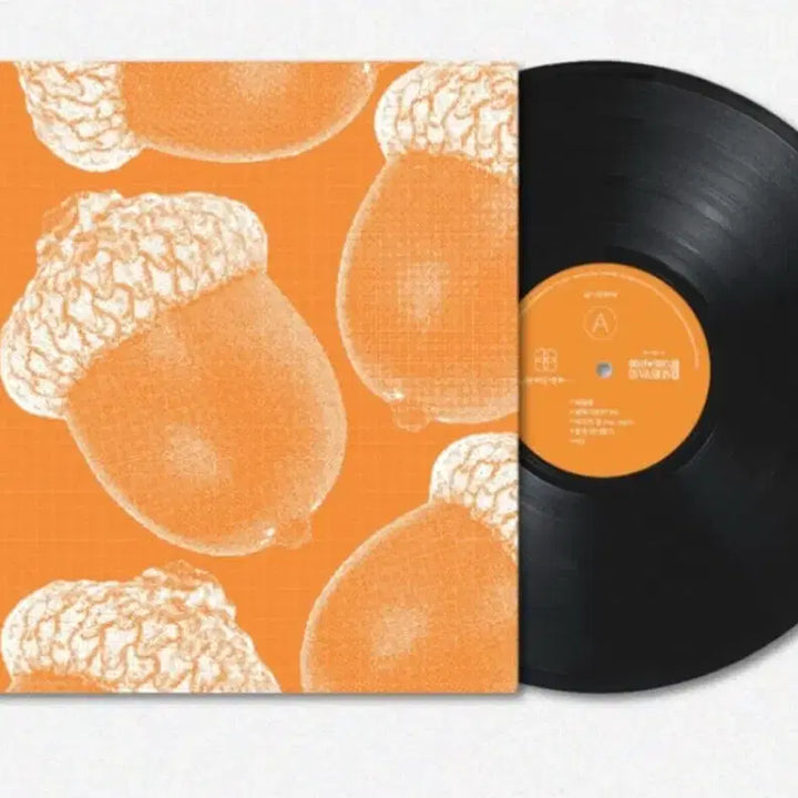 [BUNJANG] You Da Bin Band GSI Edition LP / 유다빈밴드 lp GSI 에디션 미개봉