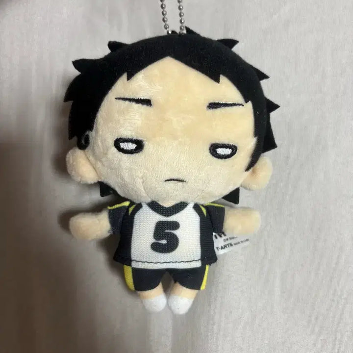 [BUNJANG] Haikyuu Akaashi Plush / 아카아시 누이 판매