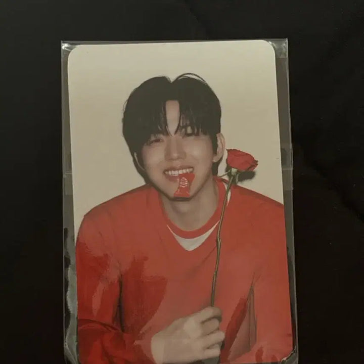 [BUNJANG] Day6 Dowoon Kitkat Photocard / 데이식스 도운 킷캣 포카