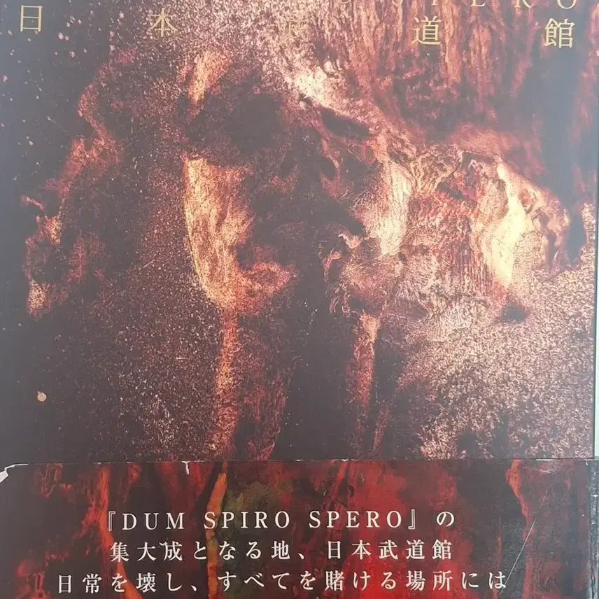 [BUNJANG] 디르앙그레이 dir en grey 둠스스 부도칸 블루레이 2014 / 디르앙그레이 dir en grey 둠스스 부도칸 블루레이 2014