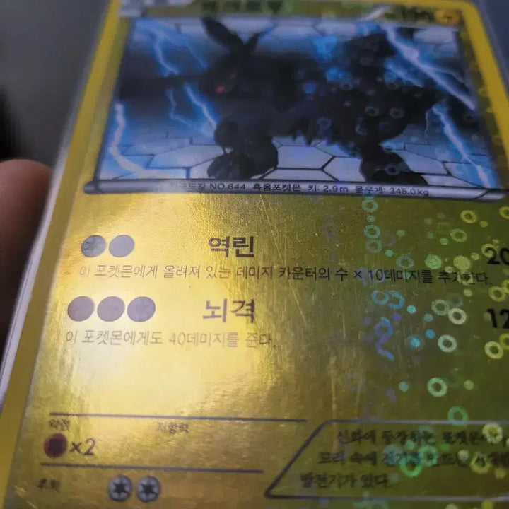 [SOLD OUT] 포켓몬 카드 제크로무 BW