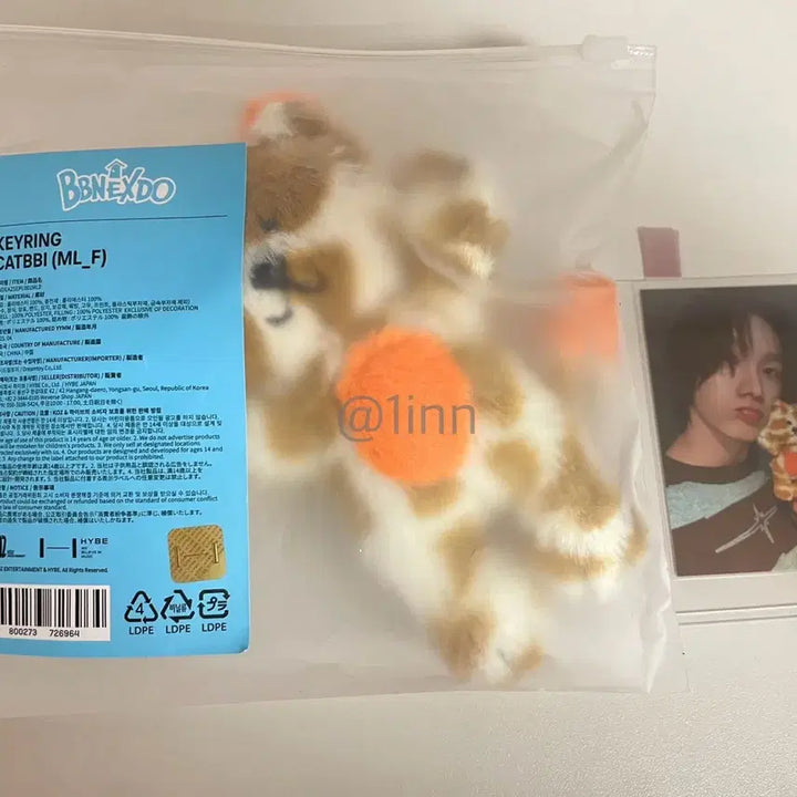 [SOLD OUT] 쁘넥도 캣삐 구버전 인형 키링 포카 포함 보넥도
