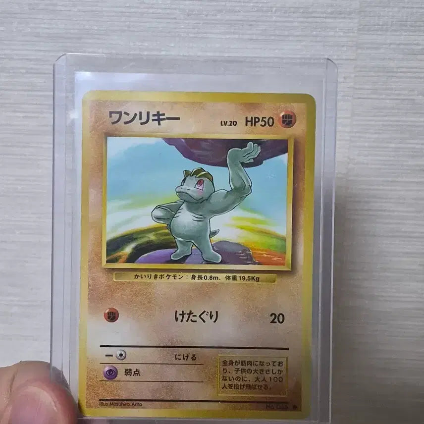[SOLD OUT] 포켓몬카드 일판 초판 알통몬