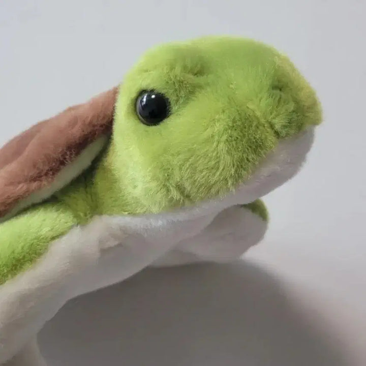 [BUNJANG] Sea Turtle Plush Toy / (새상품) 바다 거북이 인형