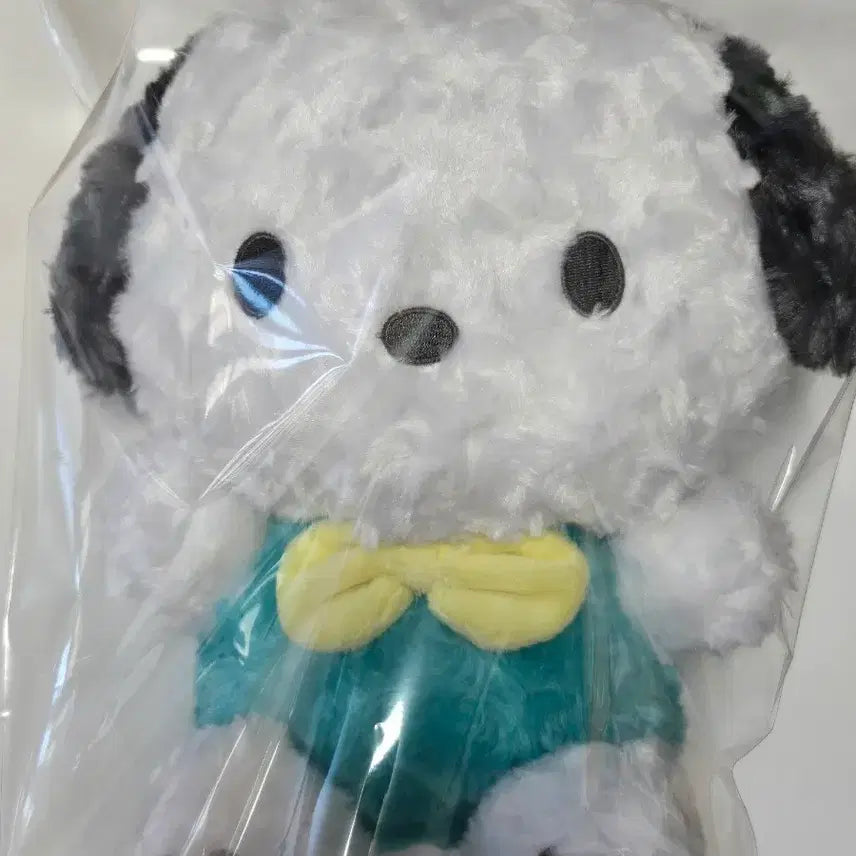 [BUNJANG] Sanrio Pochacco Medium Plush Doll / [새상품]산리오 포차코 똥글똥글 중형 인형