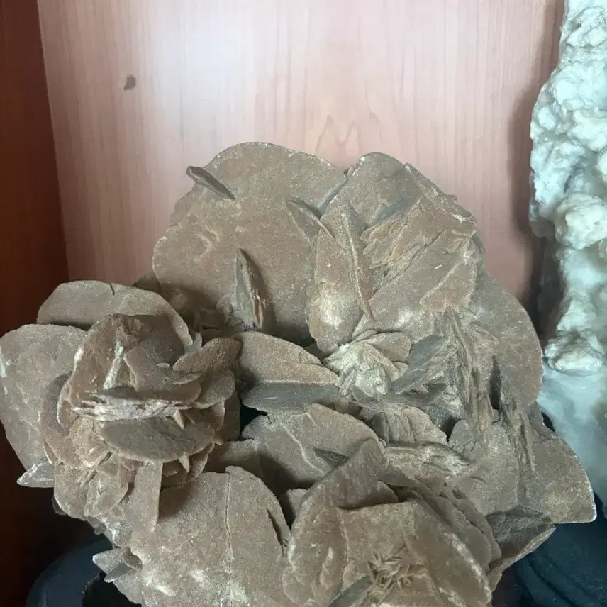 [SOLD OUT] 사막의장미화석