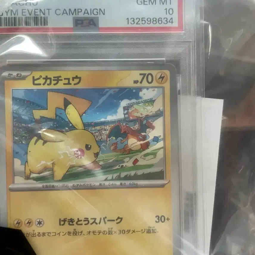 [SOLD OUT] 피카츄 프로모 카드 psa10 + 카드 13장