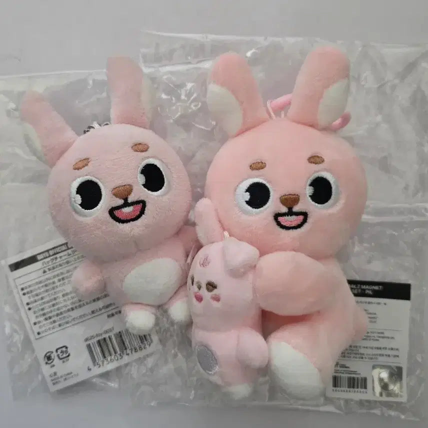 [BUNJANG] Day6 Japanese Baek-Charm Bundle Set / day6 데이식스 일본 백참 필 필끼 원필