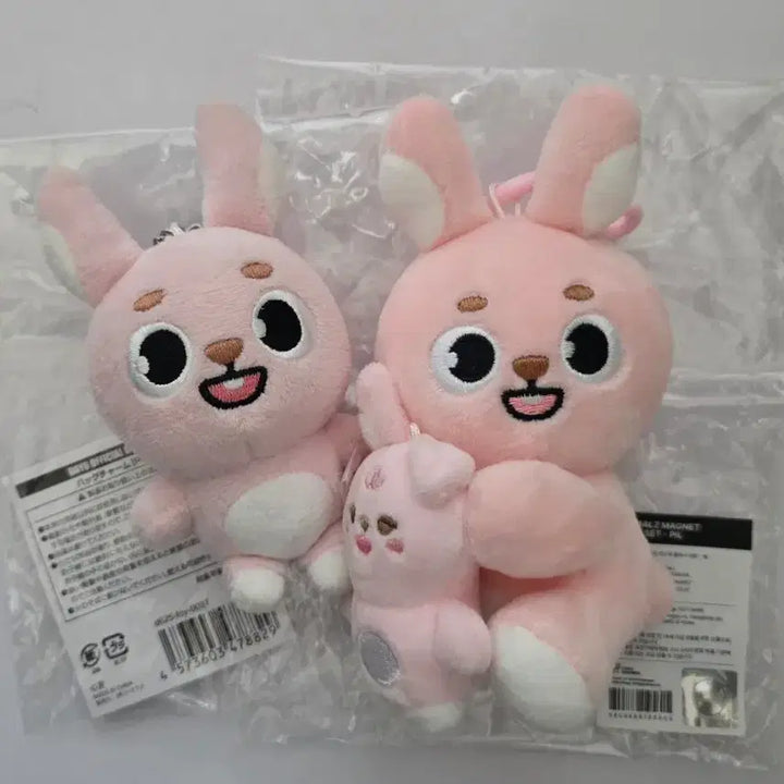 [BUNJANG] Day6 Japanese Baek-Charm Bundle Set / day6 데이식스 일본 백참 필 필끼 원필