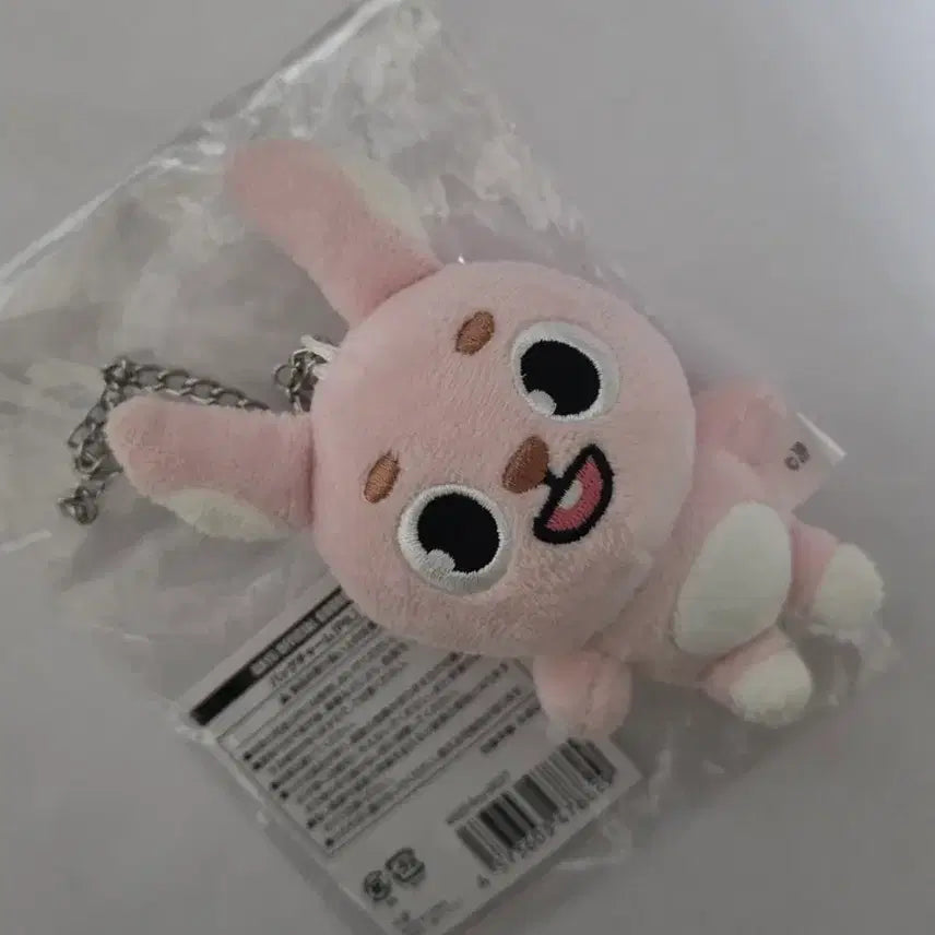 [BUNJANG] Day6 Japanese Baek-Charm Bundle Set / day6 데이식스 일본 백참 필 필끼 원필