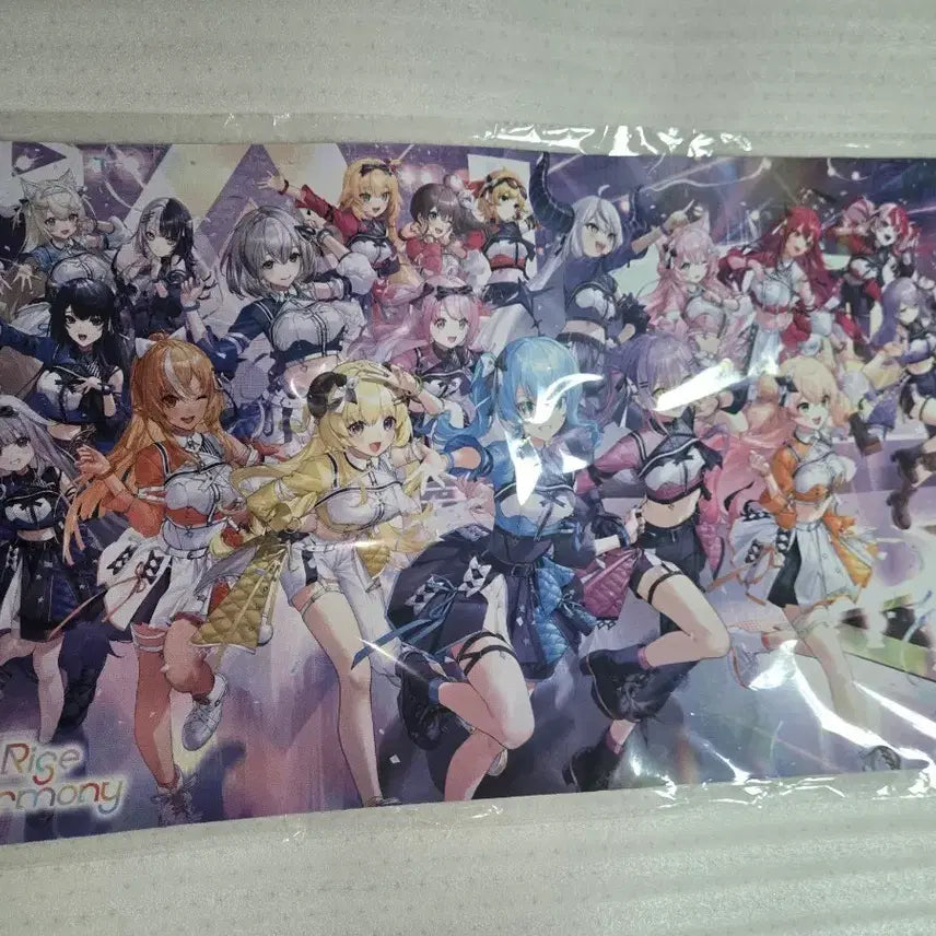 [BUNJANG] Hololive 6th FES Stage 1 Mat / 홀로라이브 6th FES Stage1 매트