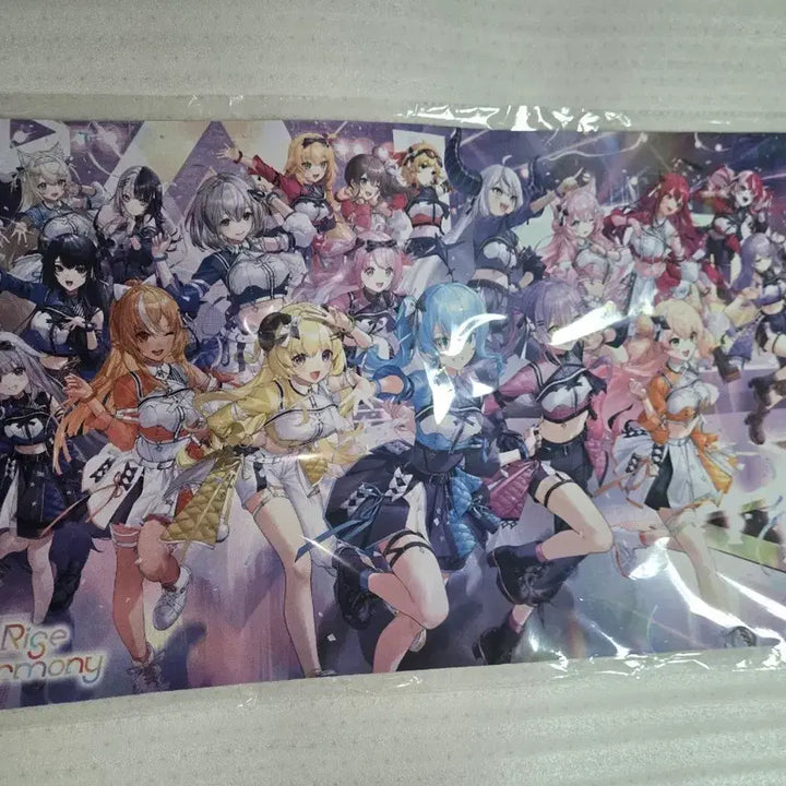 [BUNJANG] Hololive 6th FES Stage 1 Mat / 홀로라이브 6th FES Stage1 매트