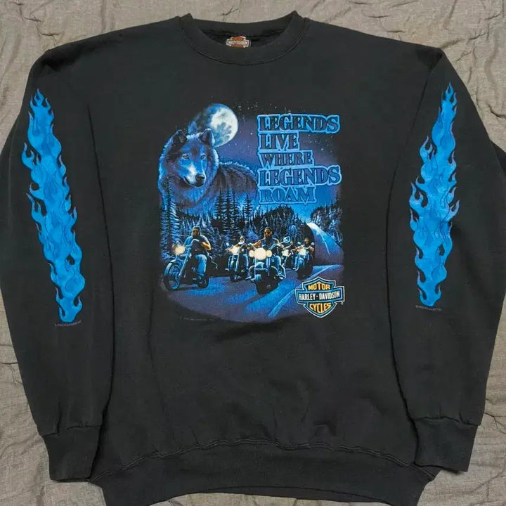 [BUNJANG] Harley-Davidson 90s Wolf Flame Sweatshirt XL / 90s 할리데이비슨 울프 플레임 스웻셔츠 XL