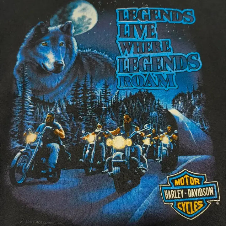 [BUNJANG] Harley-Davidson 90s Wolf Flame Sweatshirt XL / 90s 할리데이비슨 울프 플레임 스웻셔츠 XL