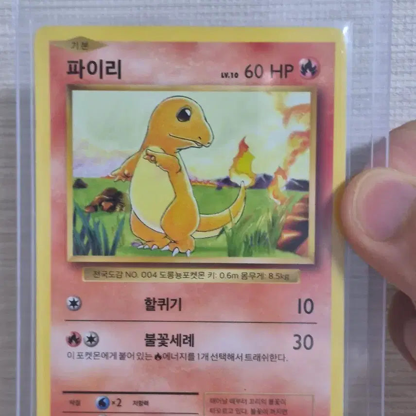 [SOLD OUT] 포켓몬카드 20주년 파이리