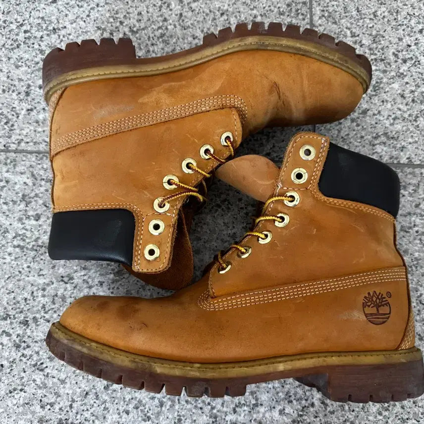 [BUNJANG] Timberland 6-Inch Waterproof Premium Boots / [255-260]버랜드 6인치 워터프루프 프리미엄 부츠 10061