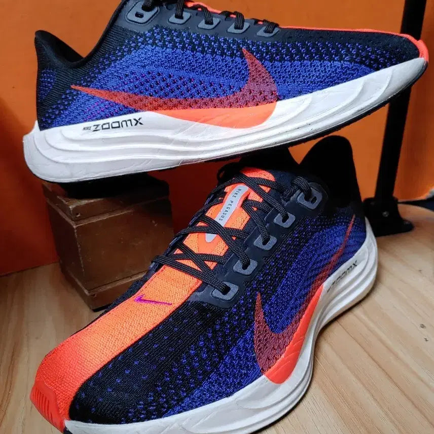 [BUNJANG] Nike Pegasus Plus Running Shoes / 나이키 페가수스 플러스(US7EU40사이즈250)