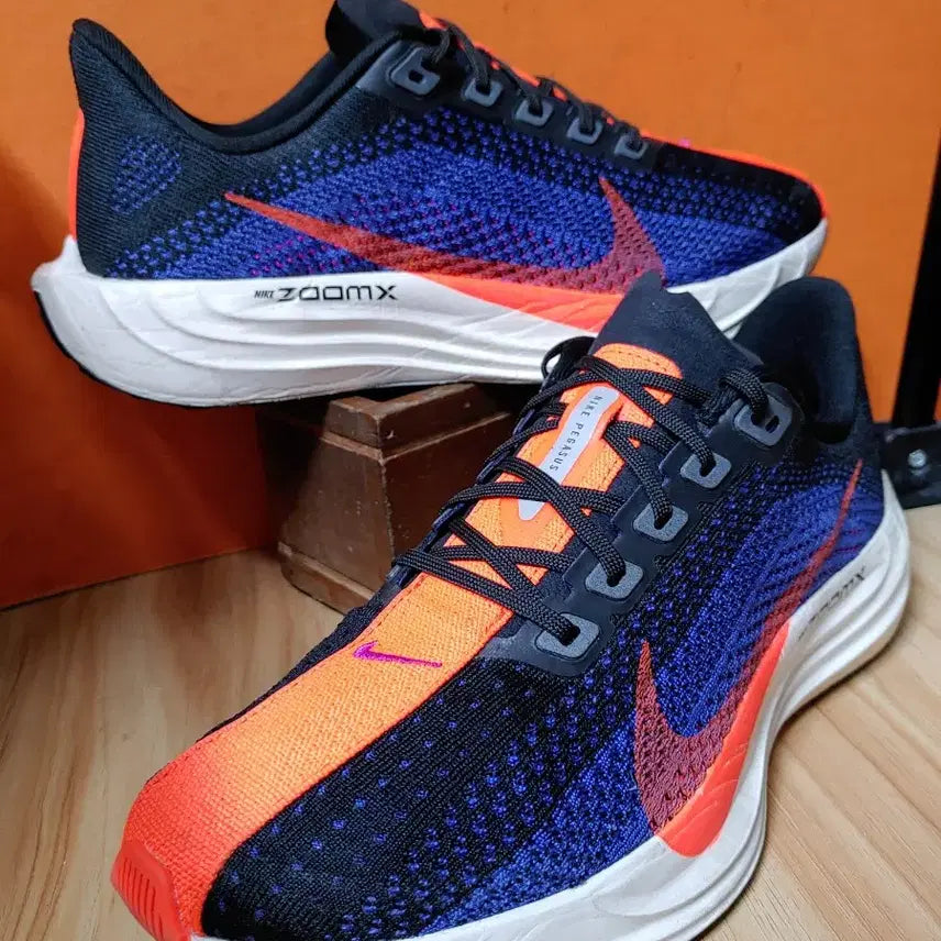 [BUNJANG] Nike Pegasus Plus Running Shoes / 나이키 페가수스 플러스(US7EU40사이즈250)