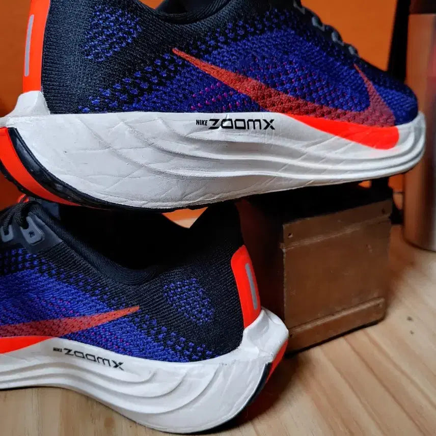 [BUNJANG] Nike Pegasus Plus Running Shoes / 나이키 페가수스 플러스(US7EU40사이즈250)
