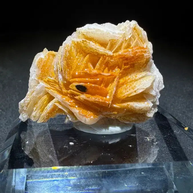 [BUNJANG] Barite and Vanadinite Specimen / 중정석 바나듐납 공생 표본